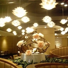 Lotus Moderne Dekor Droplight Lampe