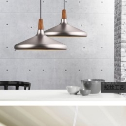 Moderne Og Moderne Metall Pendellampe Med 1 Lys