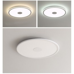 Nordisk 3,5 Cm Tykk Rund Fullspektret Øyebeskyttelse Innendørs Dimbar Taklampe