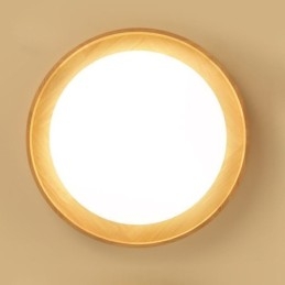 Moderne Taklampe I Tre, Rund Taklampe I Akryl
