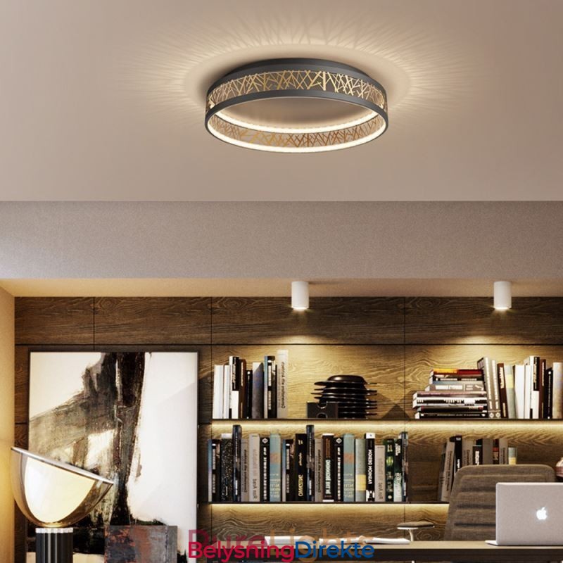 Taklampe Fuglerede Rund Lampe Moderne Armaturer