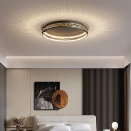 Taklampe Fuglerede Rund Lampe Moderne Armaturer