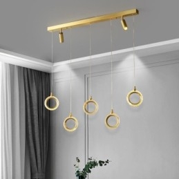 Pendellampe I Akryl Med Ringlampe Og Spotlight