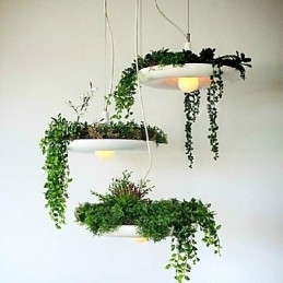 Aluminium Droplight Nordic Creative Contracted Sky Garden Lamps And Lanterns Light No Soil Plant